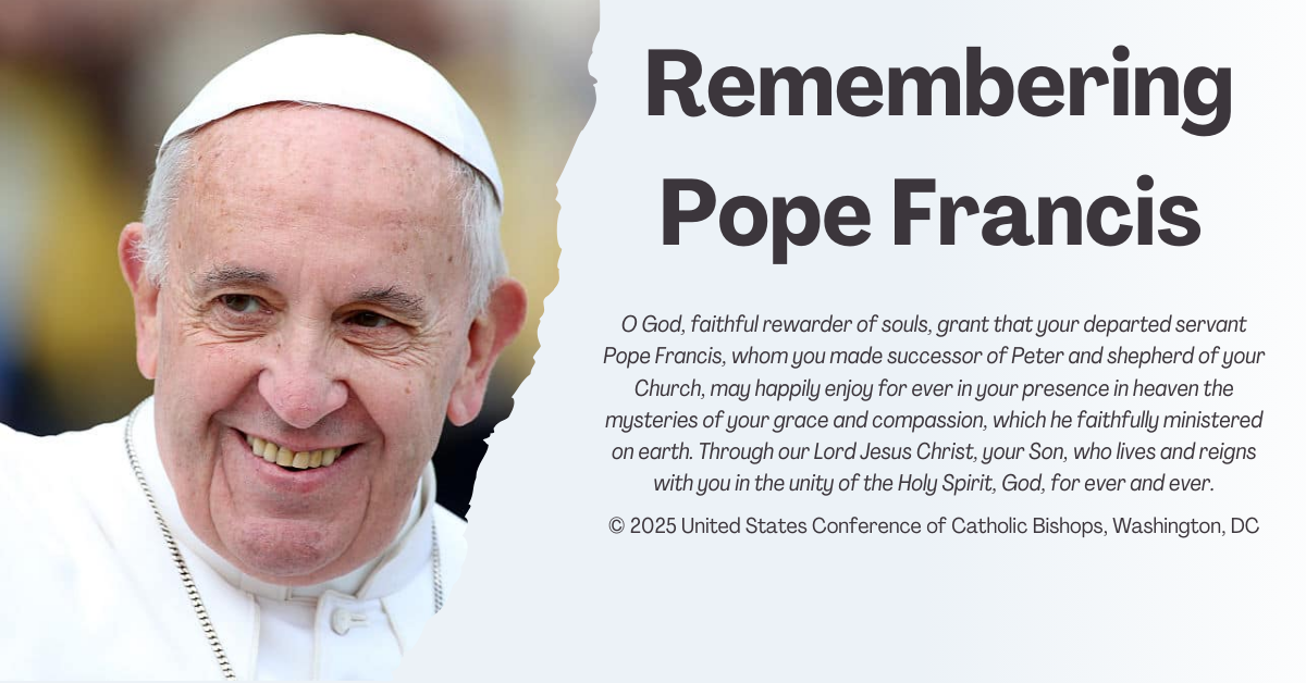 Pope Francis & Papal Transition Website Banner (3)