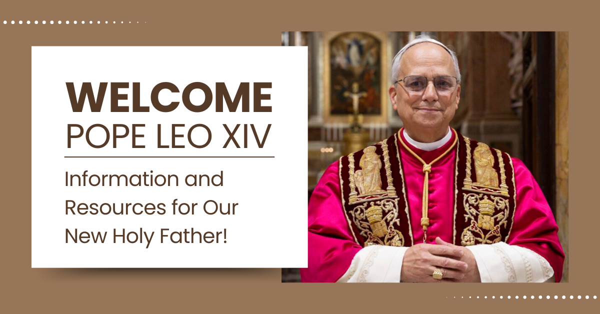 Pope Francis & Papal Transition Website Banner (3)