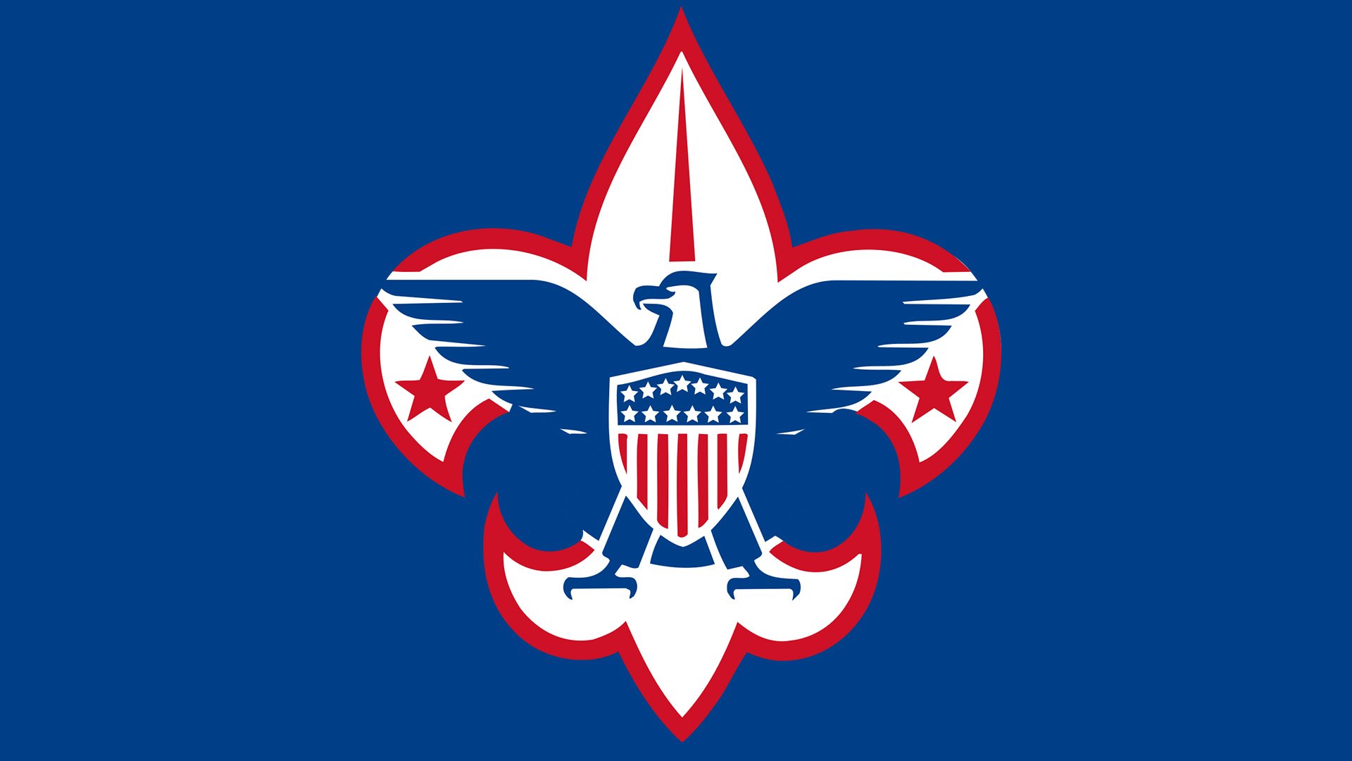 boy scout emblem